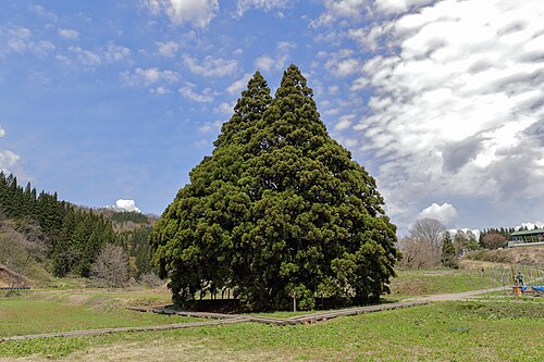 鮭川村の画像