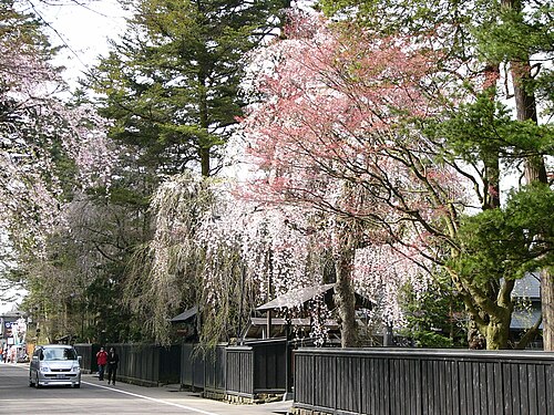 仙北市の画像